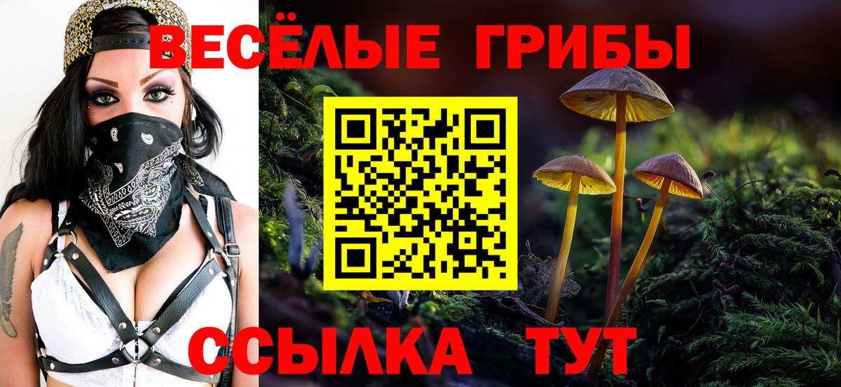 Псилоцибиновые грибы Psilocybine cubensis Валуйки
